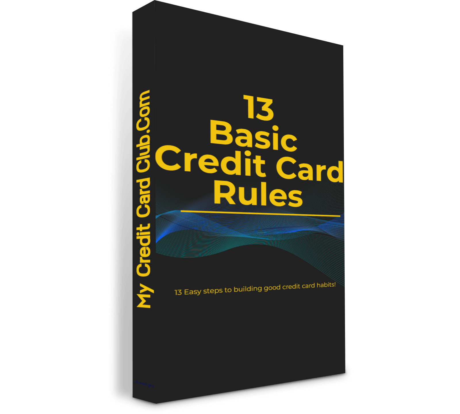 13 Easy steps to building good credit card habits.