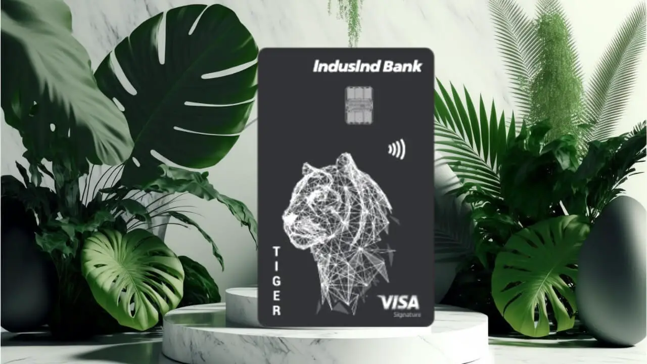 a black and white credit card (IndusInd Bank Tiger Credit Card ) sitting on top of a marble table next to plants and a planter.